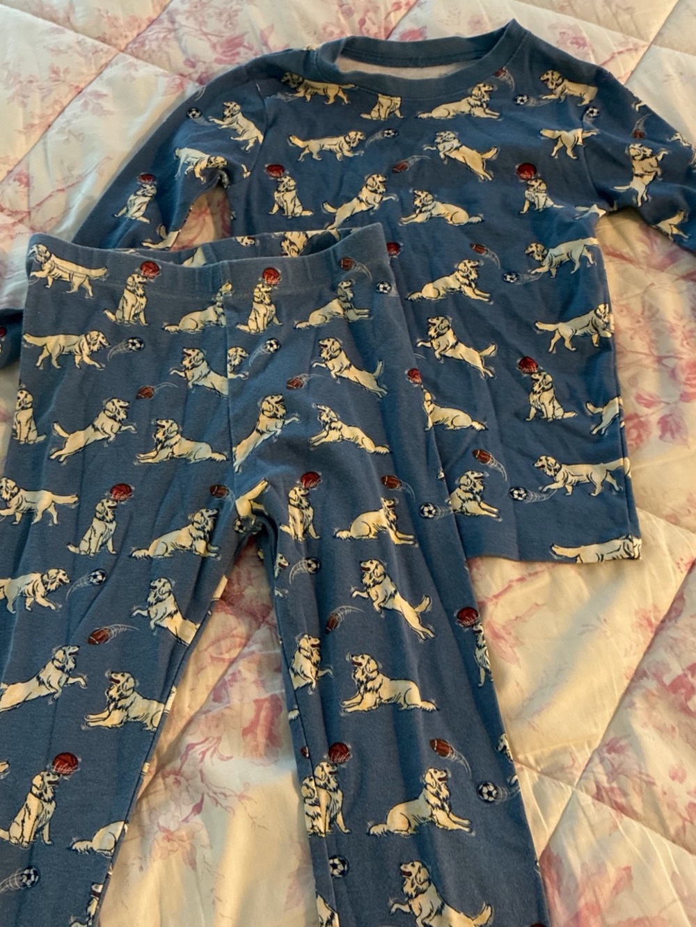 Blue Puppy Print Kids Pajama Set - Long Sleeve Top & Pants